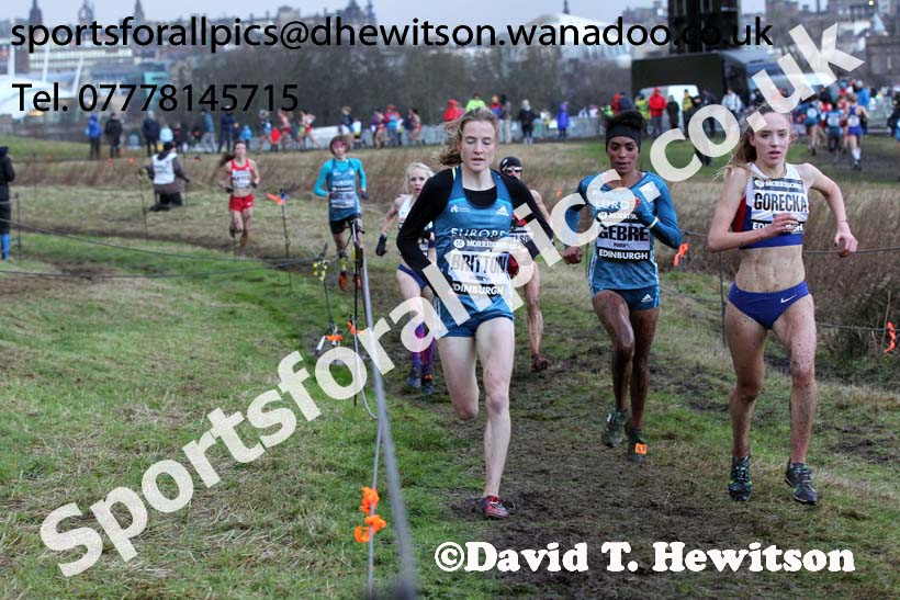 Womens 6k, Morrisons Great Edinburgh Cross Country. Photo: David T. Hewitson/Sports for All Pics